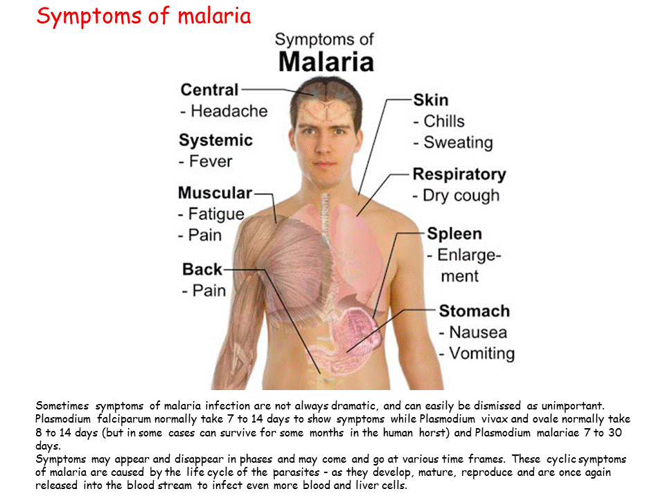 Буквы малярия. Malaria diagnosis.